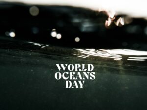 https://www.soulandsurf.com/wp-content/uploads/2021/01/World-Oceans-Day-–-Taking-Action-1-300x225.jpg