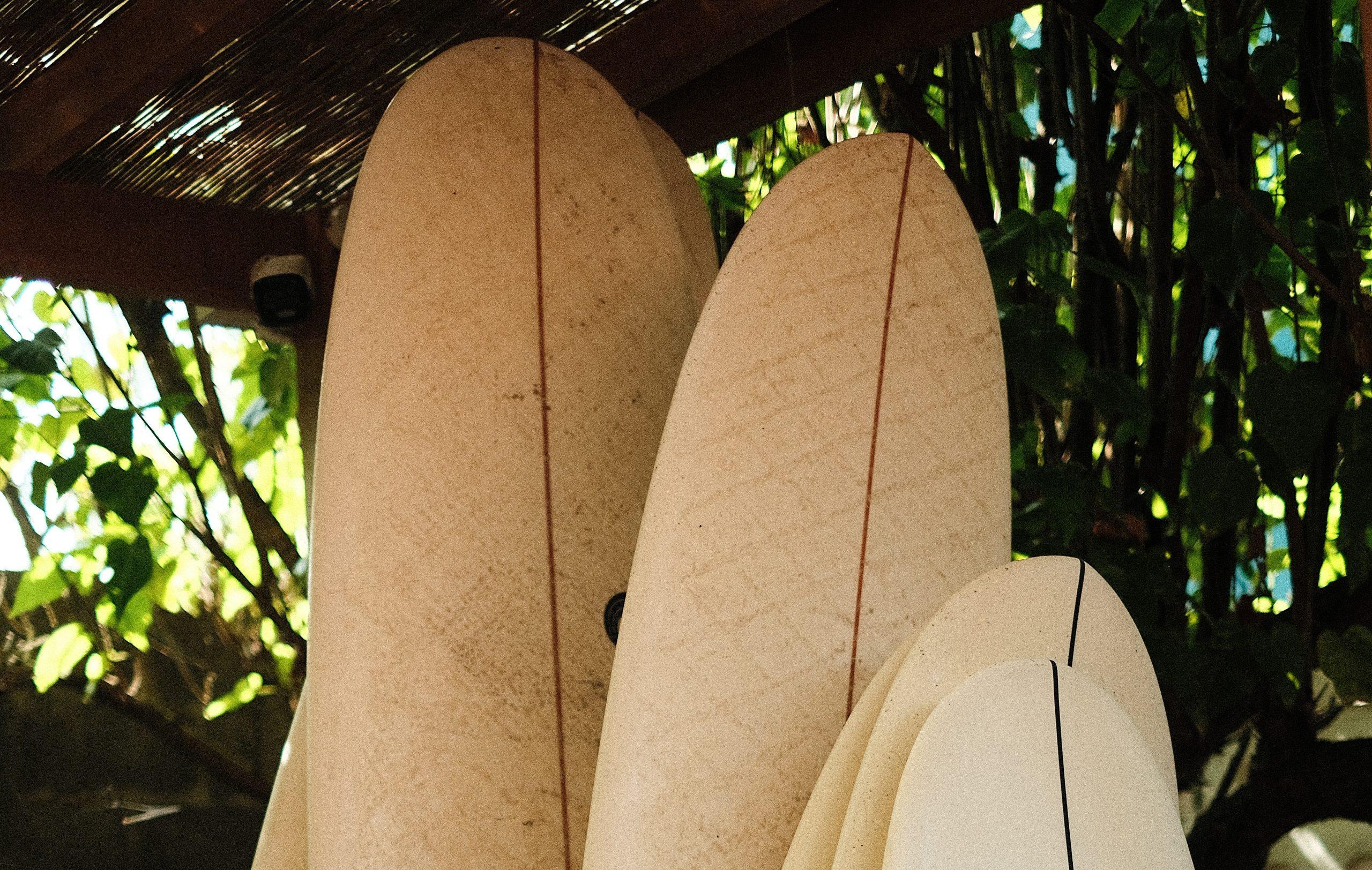 surf boards for rental