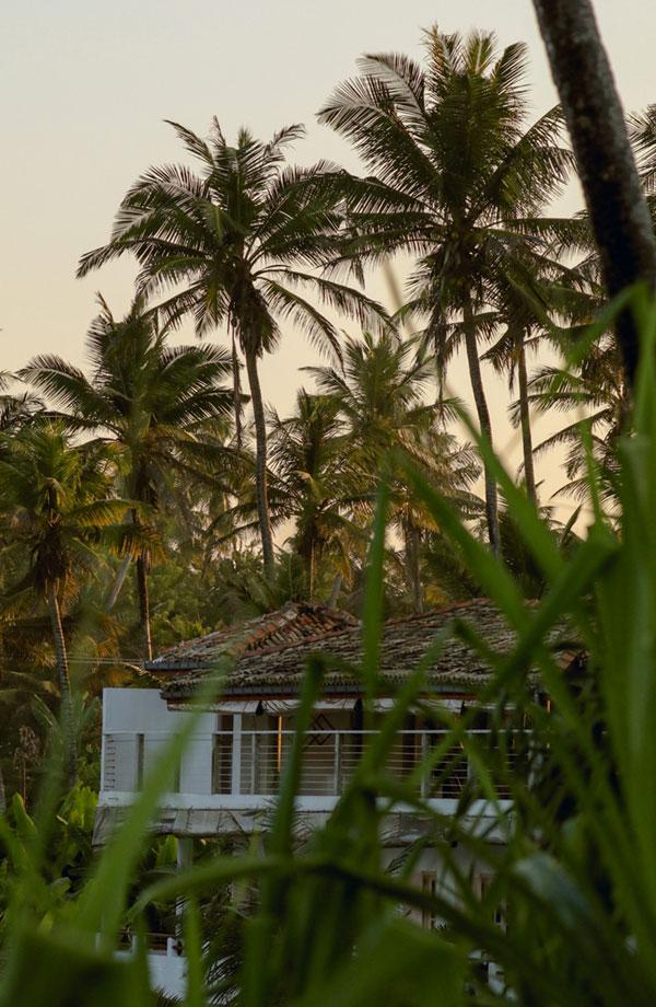 2020 - Jamie Mitchell